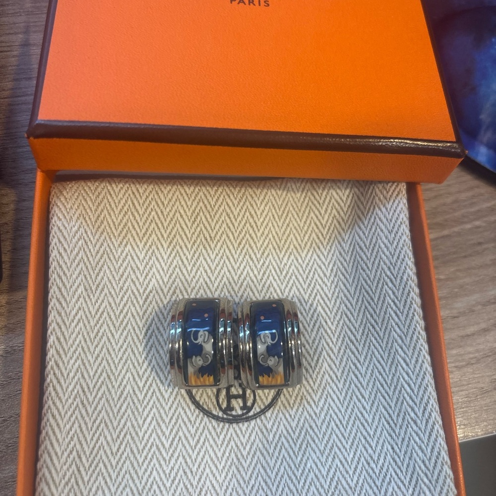 Beautiful Hermes Earrings, in the box